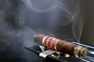 Premium Zigarren Tasting